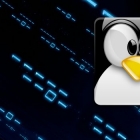 Linux有问必答:如何显示Linux网桥的MAC学习表