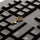 Remmina:一个 Linux 下功能丰富的远程桌面共享工具