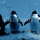 你最喜欢哪个 Linux 发行版?