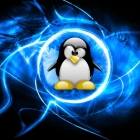 基础:在 Linux 终端中移动文件